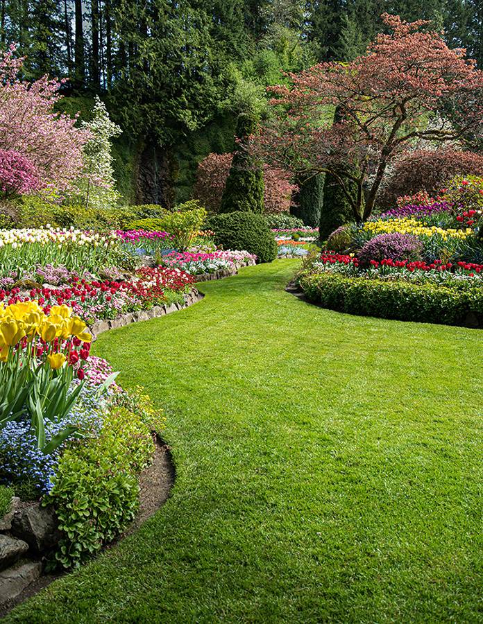 aménagement de jardin Bezons